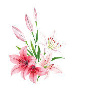 Elegantes, marine-rotes Wasserfarben-Lilien-Tischs Tischnummer