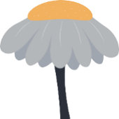 First Birthday Party Chamomile Blumen Guest Book Sockelschild