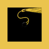 Partei für personalisierte Ausbildung 2024 Serviette