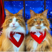 Tony und Teddy Holiday Napkins Serviette