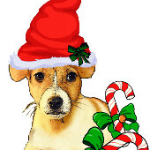 Jack Russell Terrier Christmas Kleiner Weihnachtsstrumpf