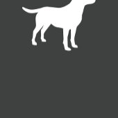 Labrador Hunde Babydusche Labrador Grau Geschlecht Wimpelkette