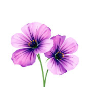 Serene Pastel Floral Watercolor Platzkarte