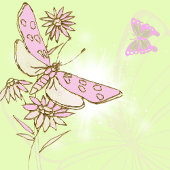 Limon rosa Schmetterlingstaste Button