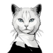 Mystische Schwarze und Weiße Katze Salem Sockelschild