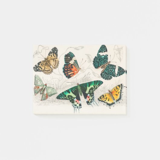 Collection of Various Butterflies Post-it Klebezettel (Vorderseite)