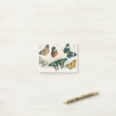 Collection of Various Butterflies Post-it Klebezettel (Auf Schreibtisch)