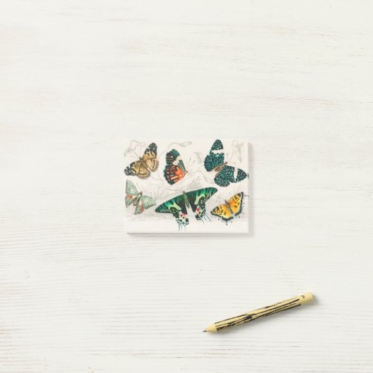 Collection of Various Butterflies Post-it Klebezettel (Auf Schreibtisch)