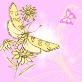 Pink Peach Butterfly Button