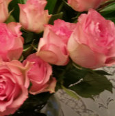 Monogram Pastel Pink Roses Mr. and Mrs. Einladung