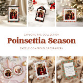 Modern Blush Pink Poinsettia Christmas Address