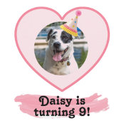 Polka Dot Foto Geburtstag mit rosa Pinsel Einladung