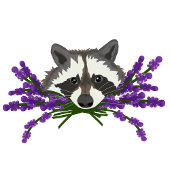 Raccoon mit Lavendel Dankeskarte