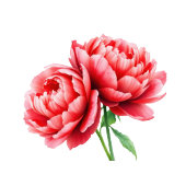 Sophisticated Red Floral Beverage Menu Acrylschild