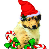 Collie Puppy Christmas Badhandtuch Set