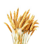 Romantische Cremefarbene Marine Foto Dankeskarte