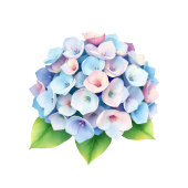 Serene Blue Floral Hydrangea