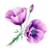 Serene Lavender Floral Minimalist Platzkarte