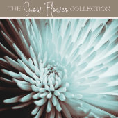 Grünes Gewebe Geschenkpapier Wrap Farbe Seidenpapier