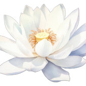 Wellness-Center Geburtstagsfeier Wasserflasche Wasserflaschenetikett