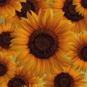 Sonnenblumenhüte für Party Partyhütchen