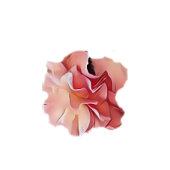 Sweet 16 rosa Blütenblüte auf schwarz Tischdecke