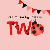 Our Little Love Bug is Turning Two Ladybug Serviette