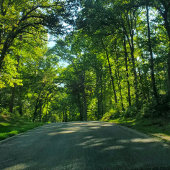 Bauchband der Marine Einladungsbanderole