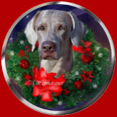 Weimaraner Weihnachtszeit Geschenkpapier