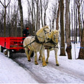 Sleigh Reiten im Snow Collection Puzzle