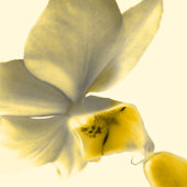 Künstlerische Blume in Gelb - Danke