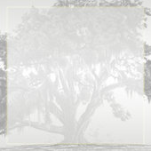 Yellow Gray Silver Mossy Oak Wedding Guest Book Gästebuch