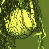 Tee-Yellow Geburtstagsparty Net & Volleyball Pappteller