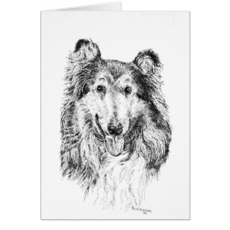 Collie