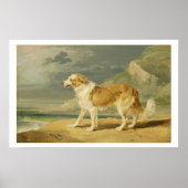 Collie, 1809 (Öl an Bord) Poster (Vorne)