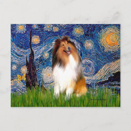 Collie 1 - Starry Night Postkarte