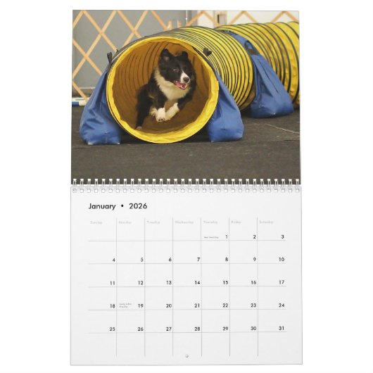 Collie-Agility-Kalender der Grenze2013 Kalender (Jan 2026)