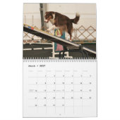 Collie-Agility-Kalender der Grenze2013 Kalender (Mär 2027)