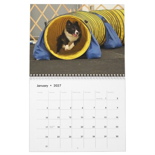 Collie-Agility-Kalender der Grenze2013 Kalender (Jan 2027)