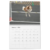 Collie-Agility-Kalender der Grenze2015 Kalender (Feb 2026)