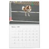 Collie-Agility-Kalender der Grenze2015 Kalender (Feb 2027)