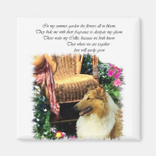 Collie Art spendet Rough Sable Magnet (Vorne)