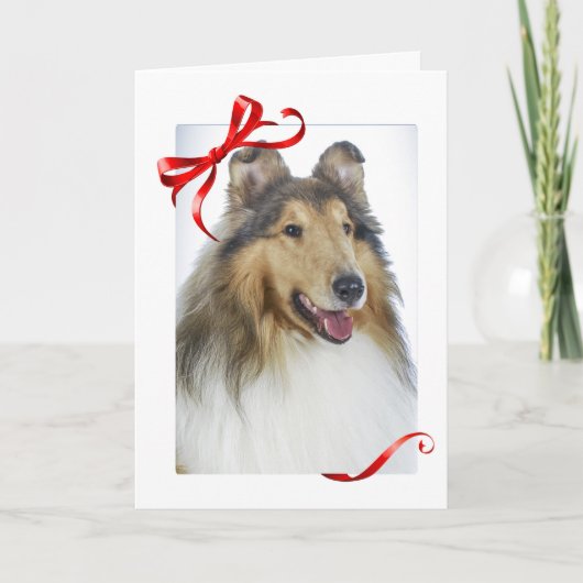 Collie Christmas Cards Feiertagskarte (Vorderseite)