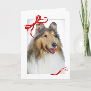 Collie Christmas Cards Feiertagskarte
