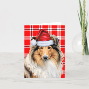 Collie Christmas Dog Red Kariert Weihnachten