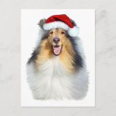 Collie Christmas Santa Feiertagspostkarte (Vorderseite)