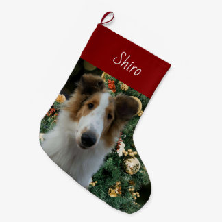 Collie Christmas Strumpf Großer Weihnachtsstrumpf
