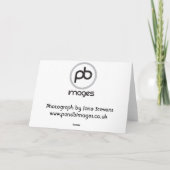 Collie Cross Feiertagskarte (Rückseite)