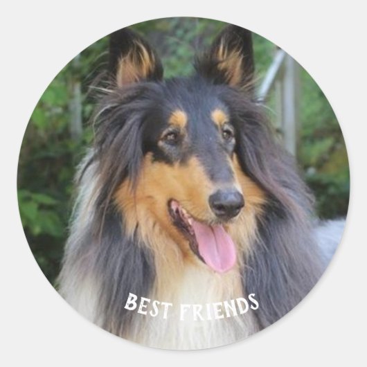 Collie Dog Best FRIENDS Runder Aufkleber (Vorderseite)