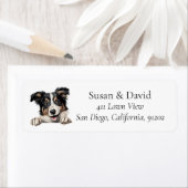 Collie Dog Breed Pet Lovers (Insitu)